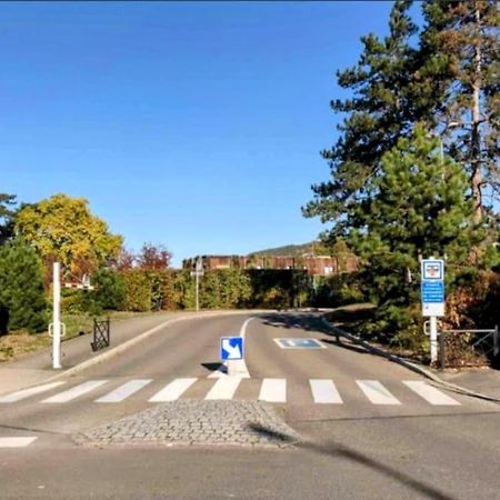 L'Appar'T - Centre Historique De Obernai Leilighet Eksteriør bilde