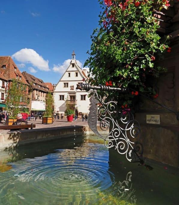 L'Appar'T - Centre Historique De Obernai Leilighet Eksteriør bilde