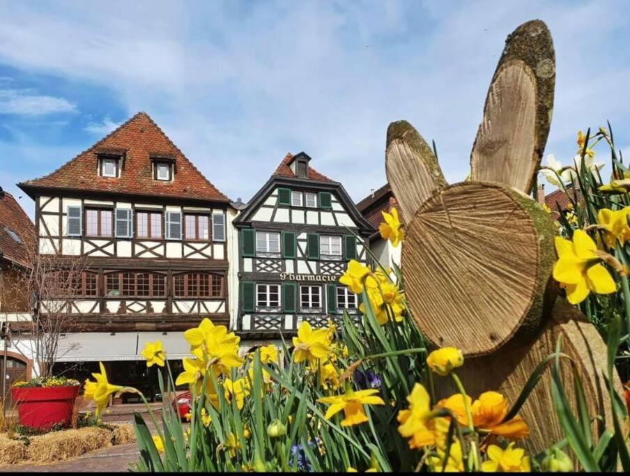 L'Appar'T - Centre Historique De Obernai Leilighet Eksteriør bilde
