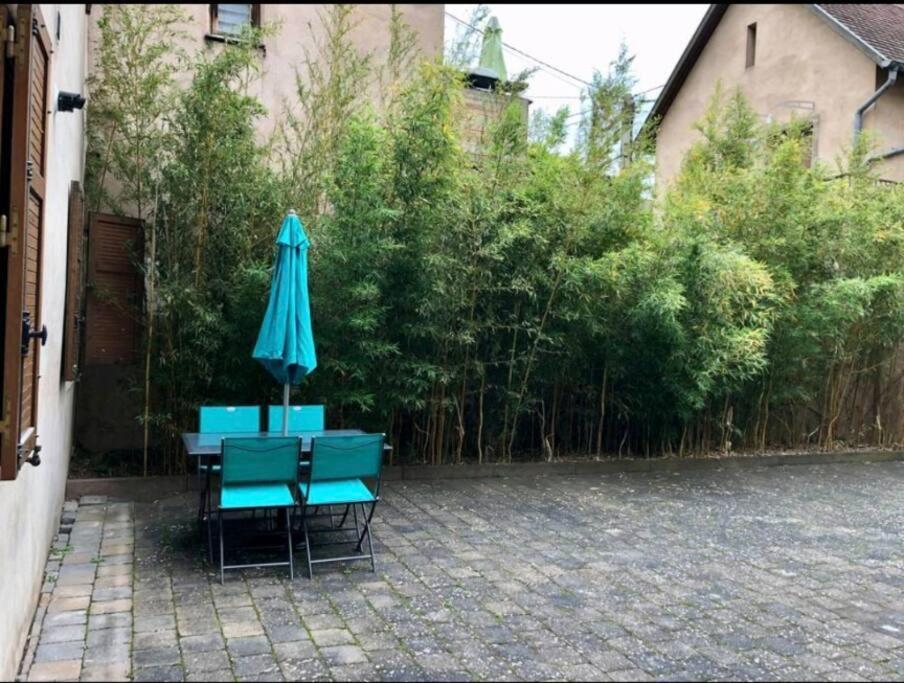 L'Appar'T - Centre Historique De Obernai Leilighet Eksteriør bilde