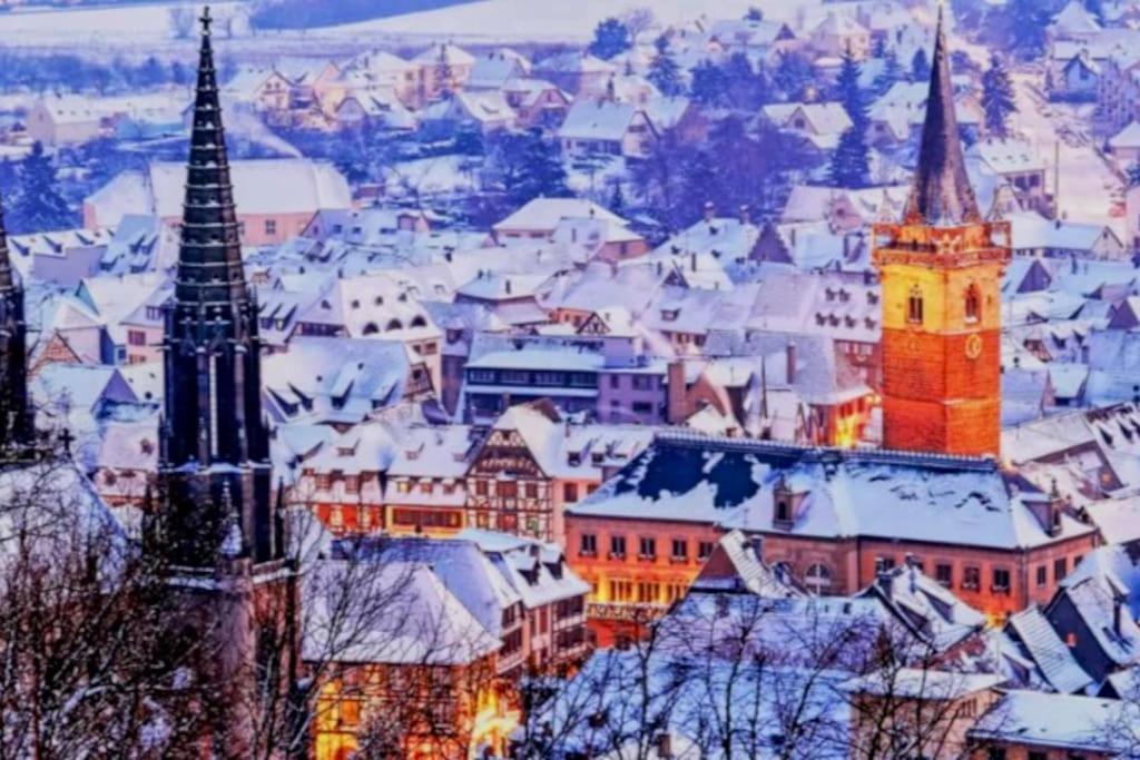L'Appar'T - Centre Historique De Obernai Leilighet Eksteriør bilde
