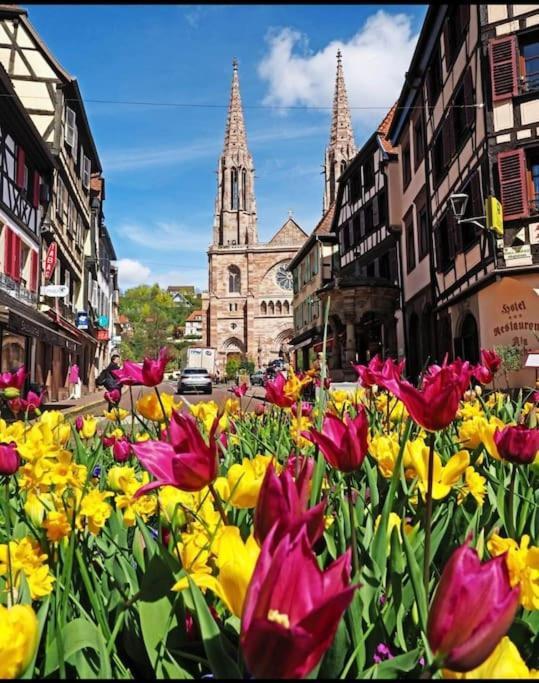 L'Appar'T - Centre Historique De Obernai Leilighet Eksteriør bilde